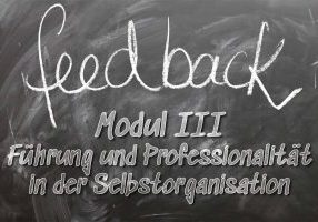 Feedback Modul III – Führung und Professionalität in der Selbstorganisation
